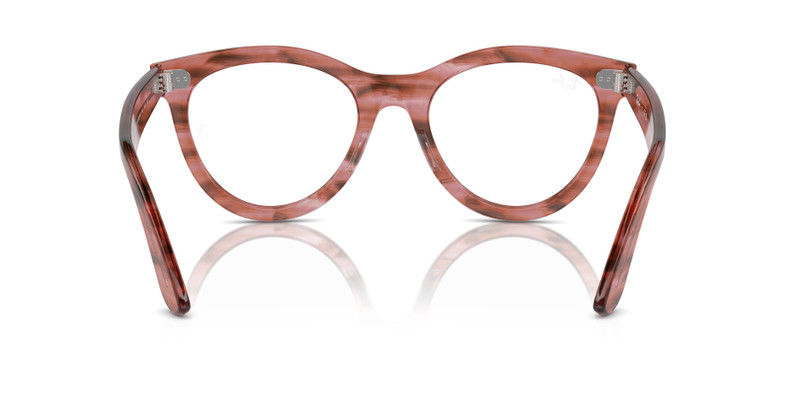 WAYFARER 경로 OPTICS 6