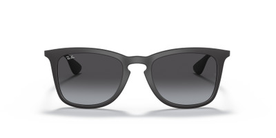 Ray-Ban RB4221 outlook