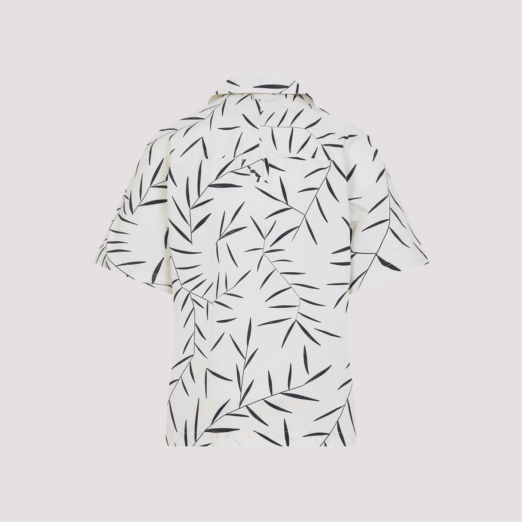 Shirts Nude & Neutrals - 3