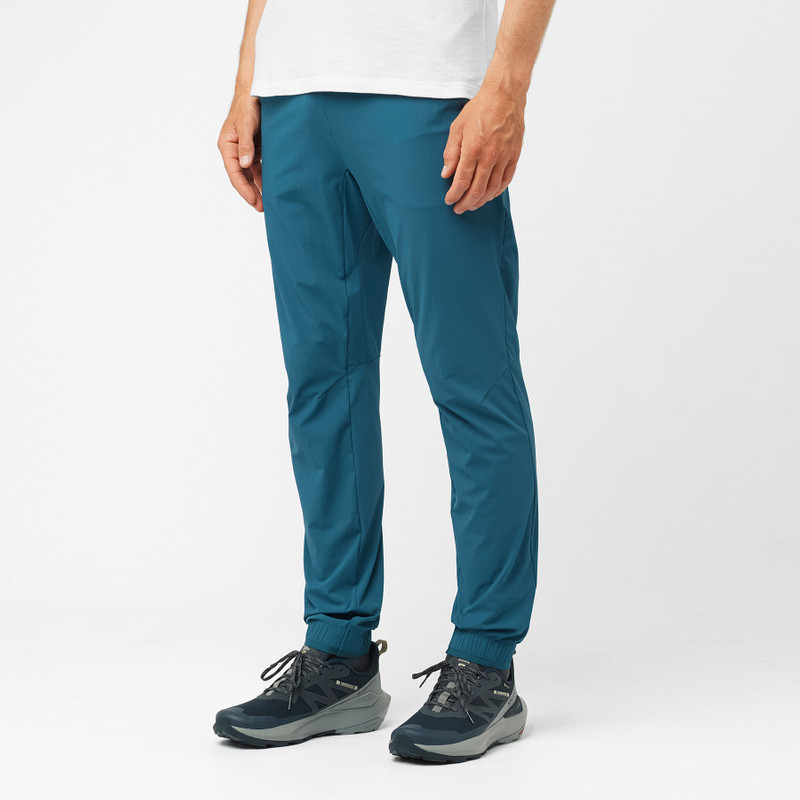 SALOMON WAYFARER EASE outlook