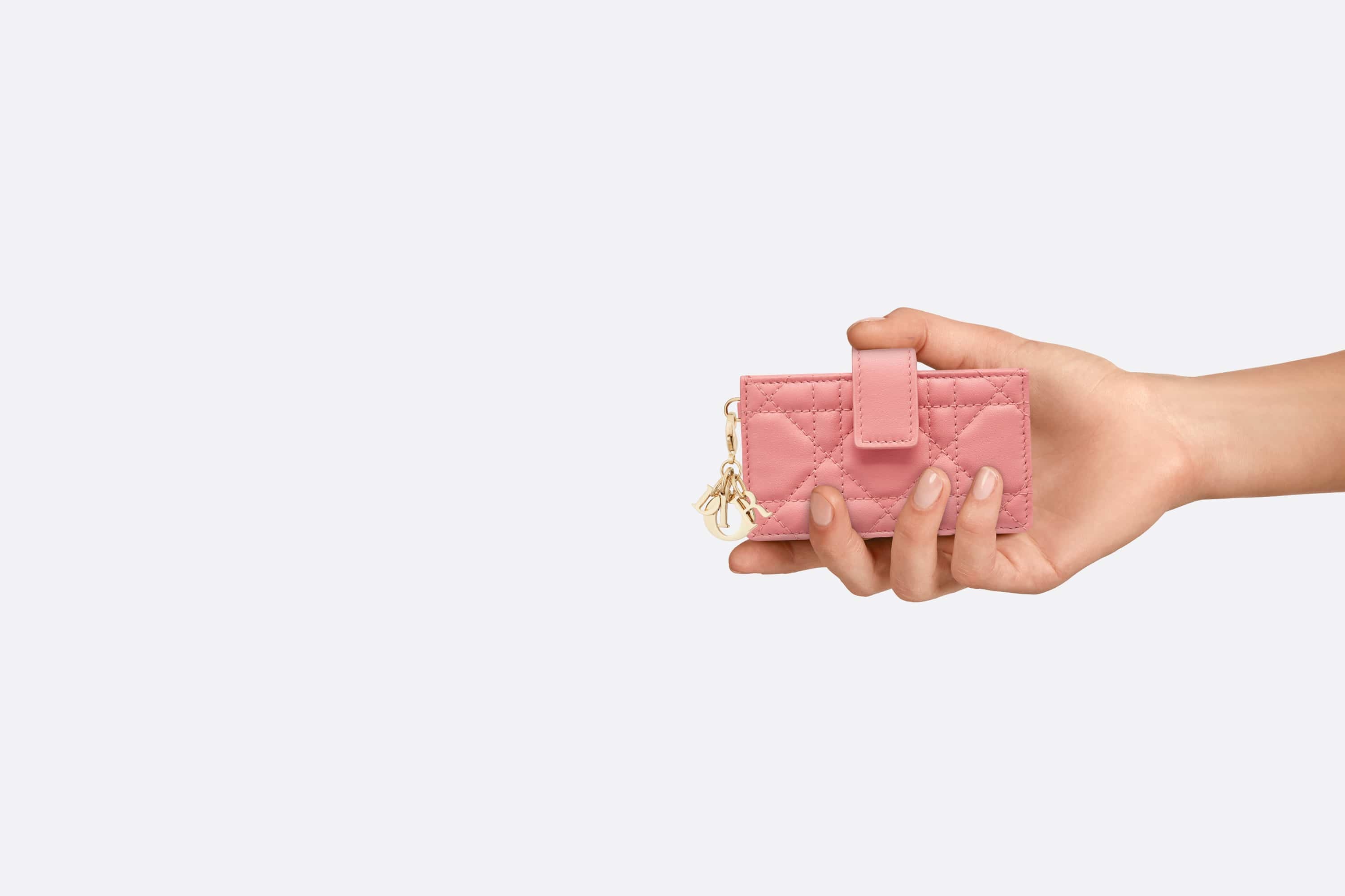 Lady Dior 5-Gusset Card Holder - 6