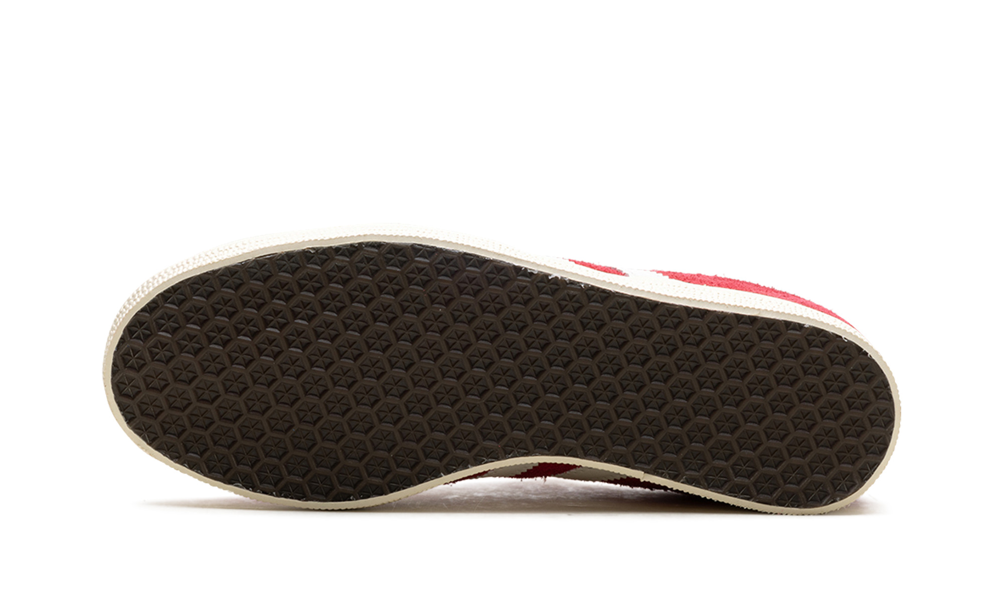 Gazelle - 5