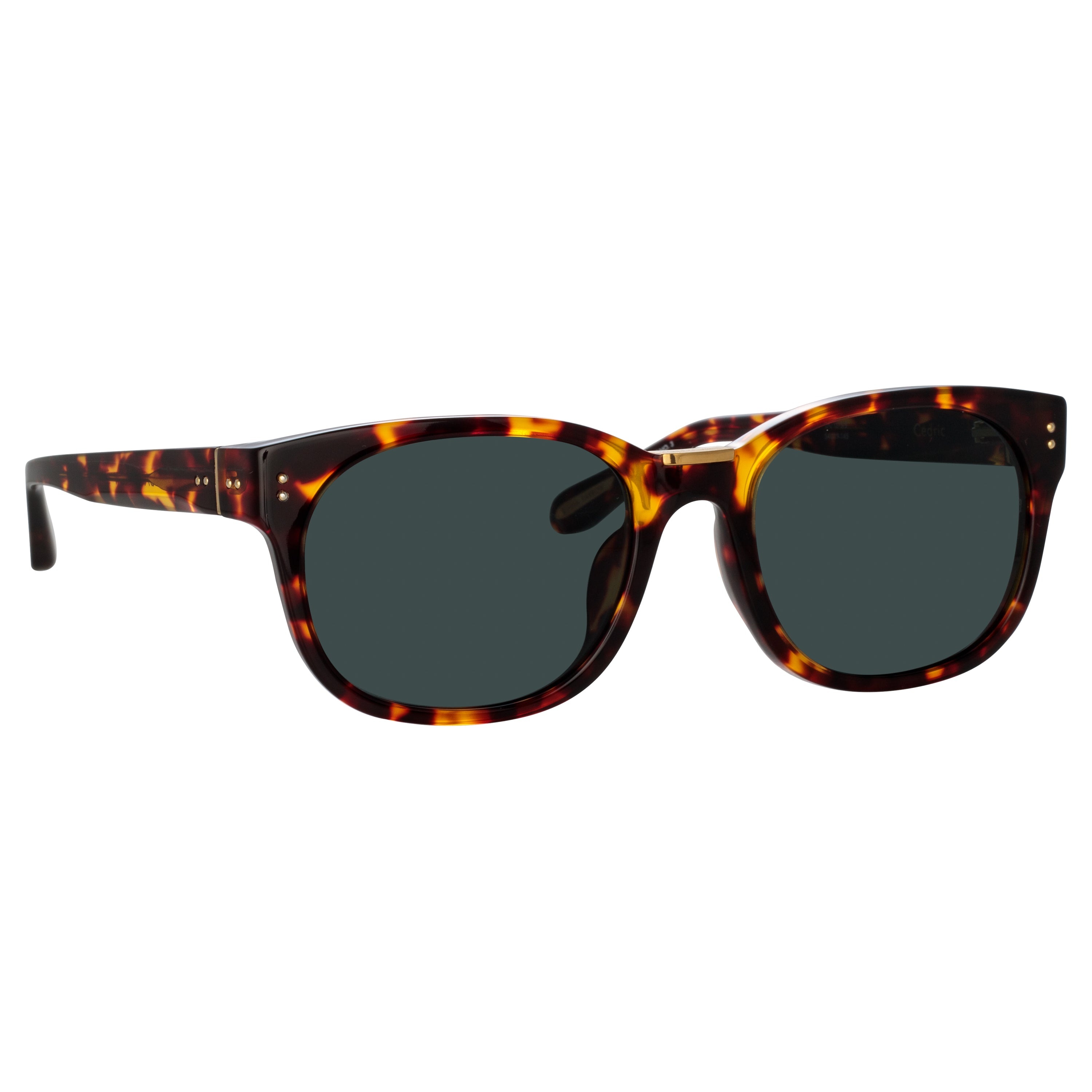 MEN'S CEDRIC RECTANGULAR SUNGLASSES IN TORTOISESHELL - 3
