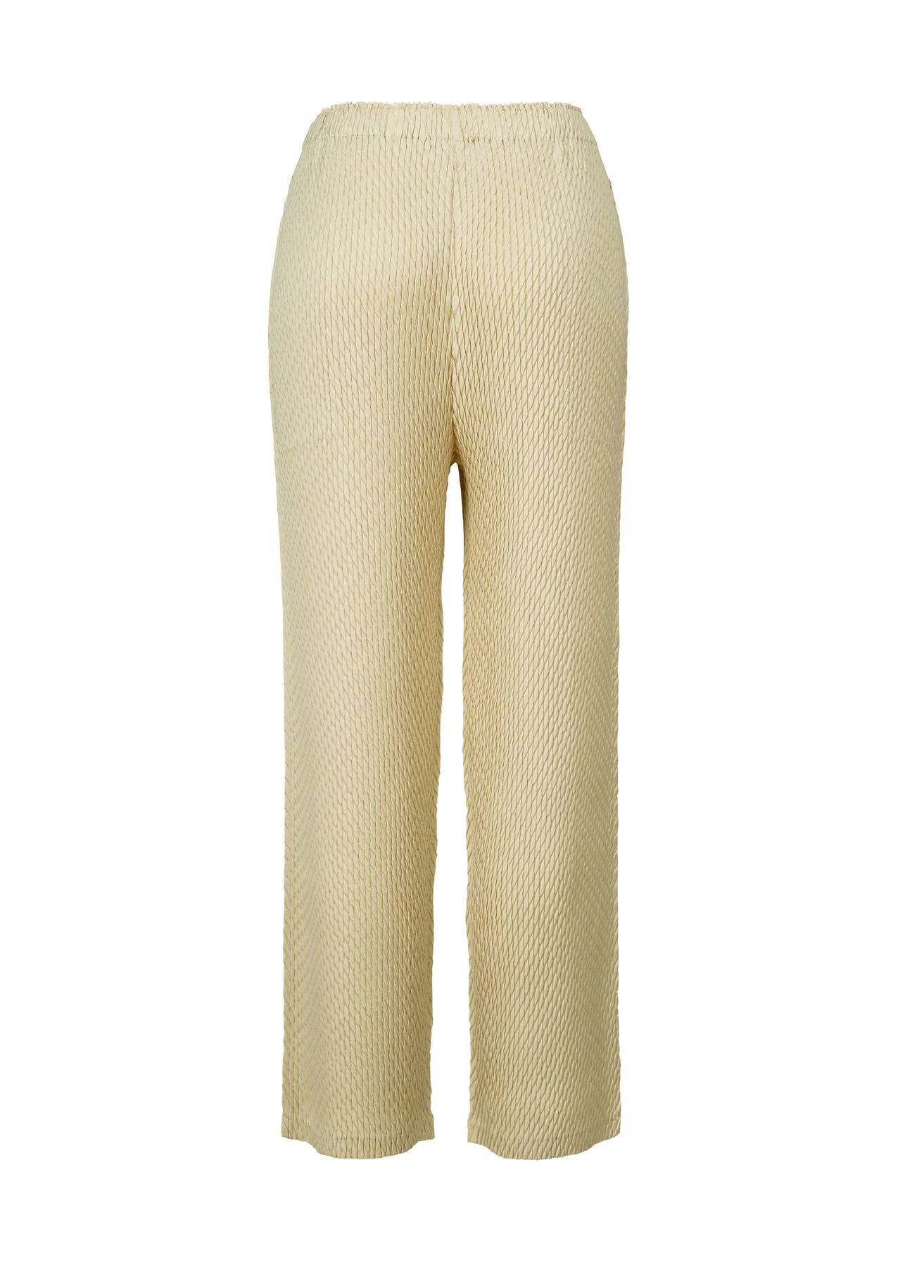 SLEEK PLEATS PANTS - 2