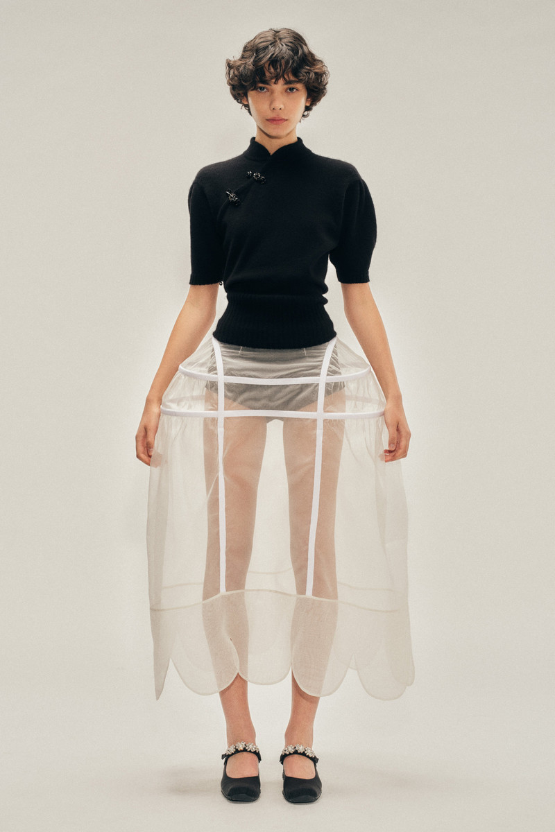 Sheer Hip Bustle Hoop Skirt 1