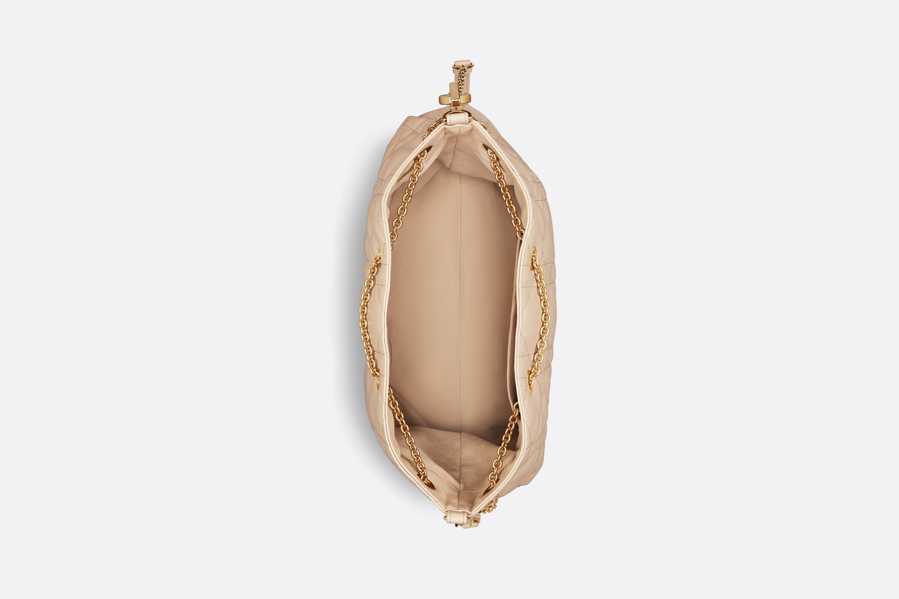 Large Dior Ammi Bag 3