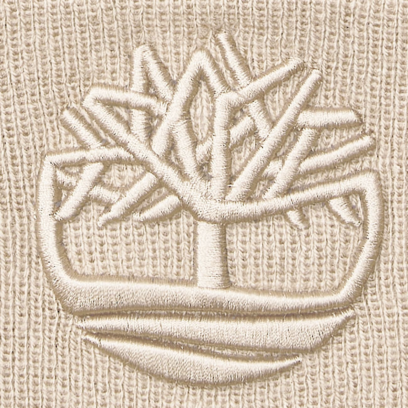 3D Embroidered Beanie - 3