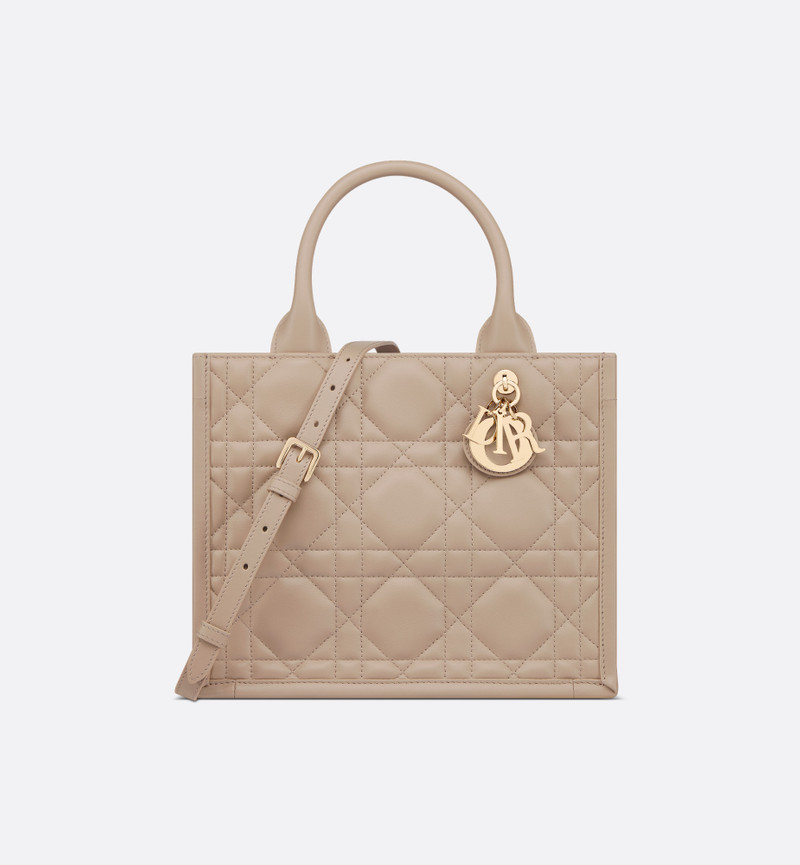 Small Dior Book Tote 1