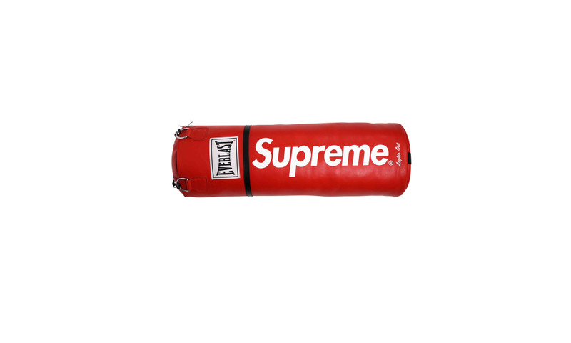 Supreme Everlast Leather Heavy Bag outlook