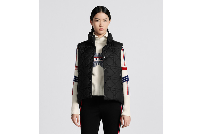 DiorAlps Puffer Vest 2