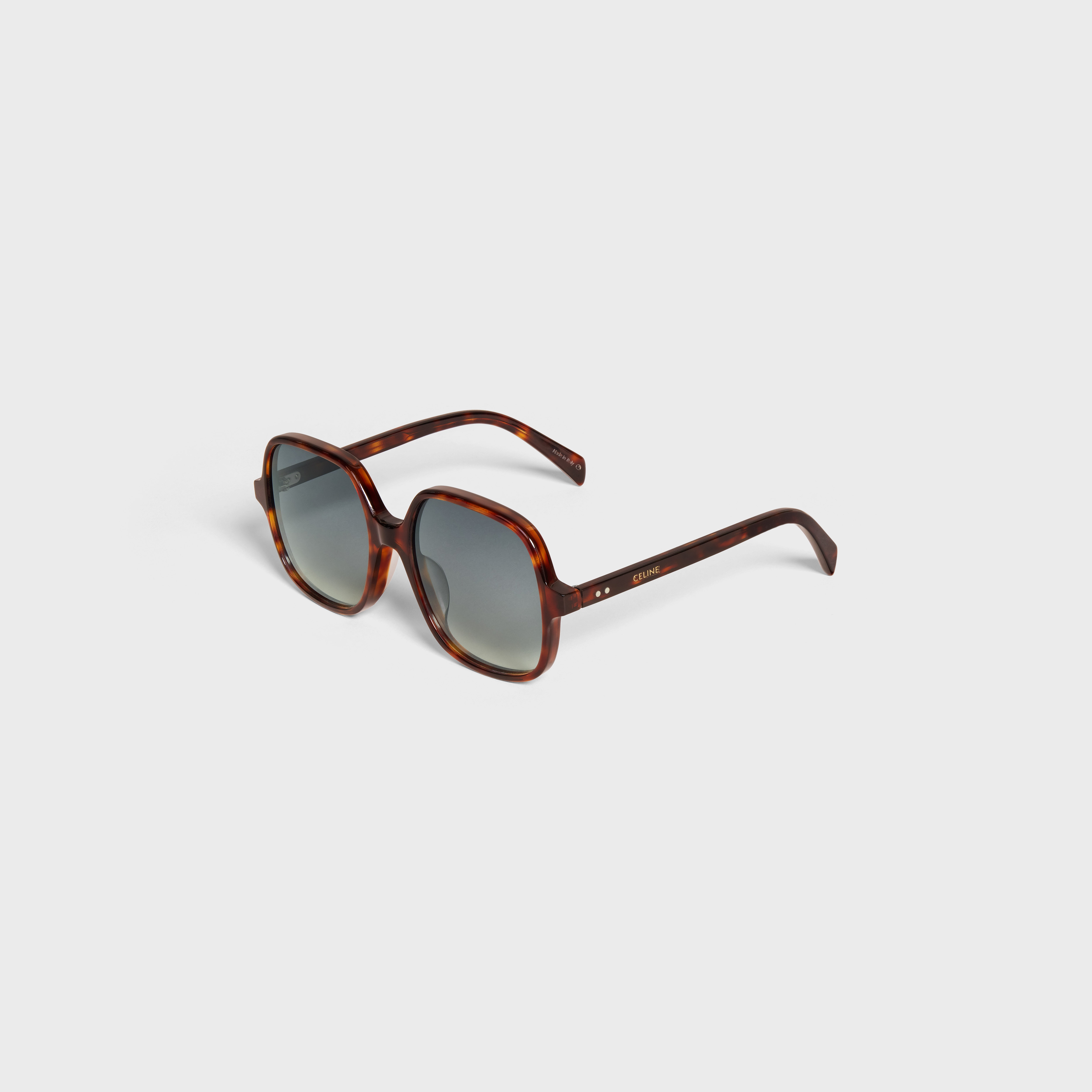 Oversized S244 Sunglasses in Acetate - 2