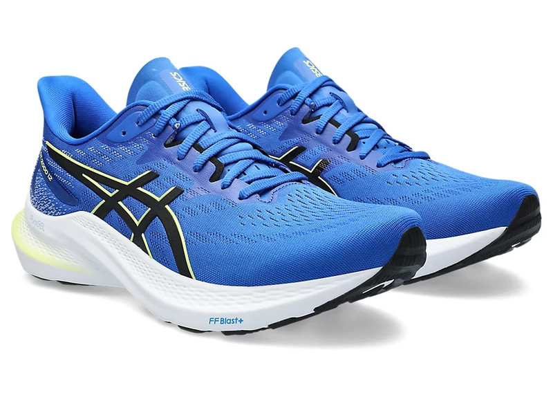 Asics GT-2000 12 outlook