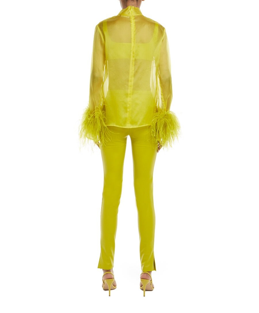 Organza Top With Feathers - 2
