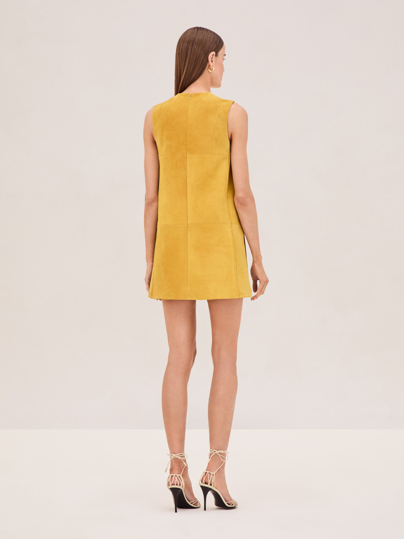 ALEXIS DAKOTA DRESS outlook