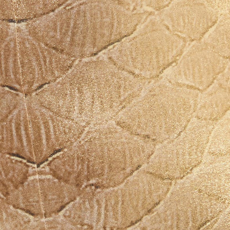 Golden Beige Bodysuit with Scale Print 5