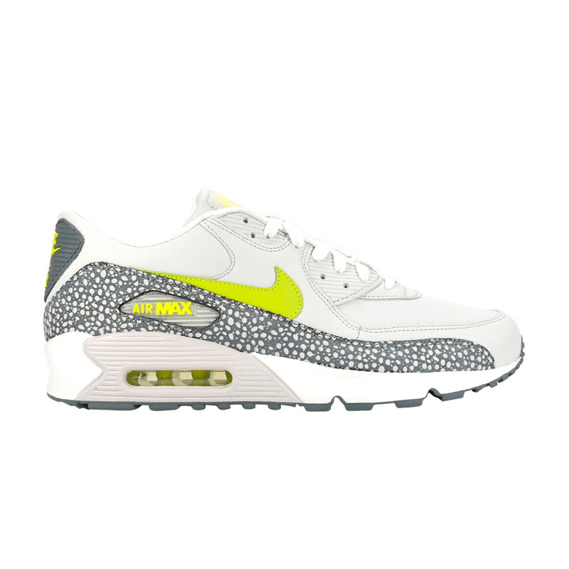 Air Max 90 Leather 'Cactus Pack' - 1