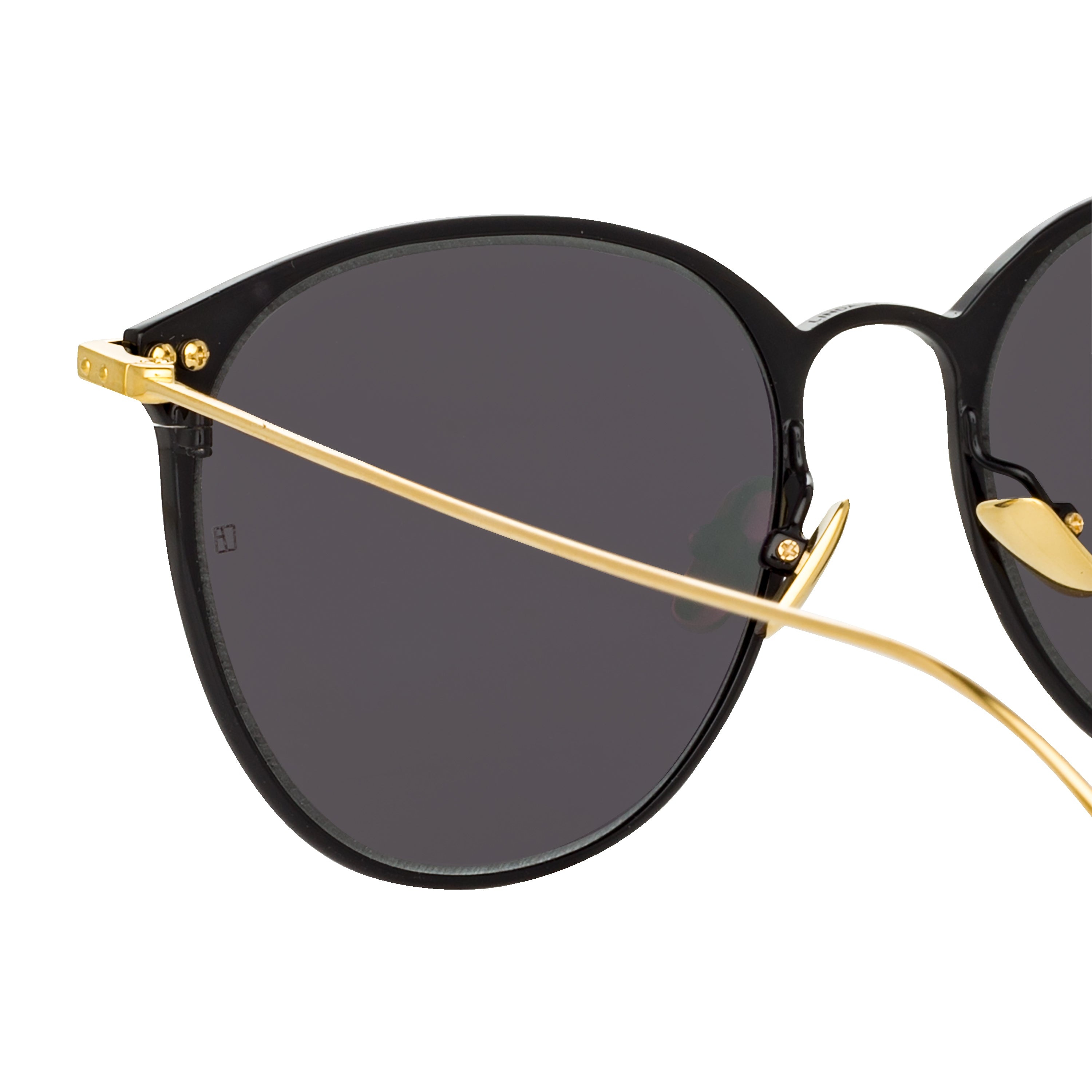 Sophia A Sunglasses in Black - 4