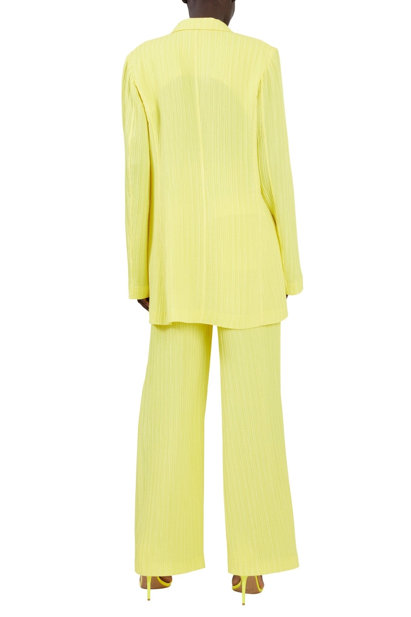Textured Plisse Relaxed Pleated Pant - 4