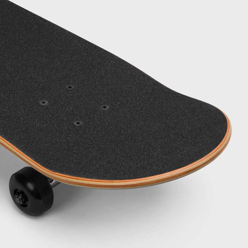 SKATEBOARD IN TEXTURED TIGER AND CELINE PRINT 3