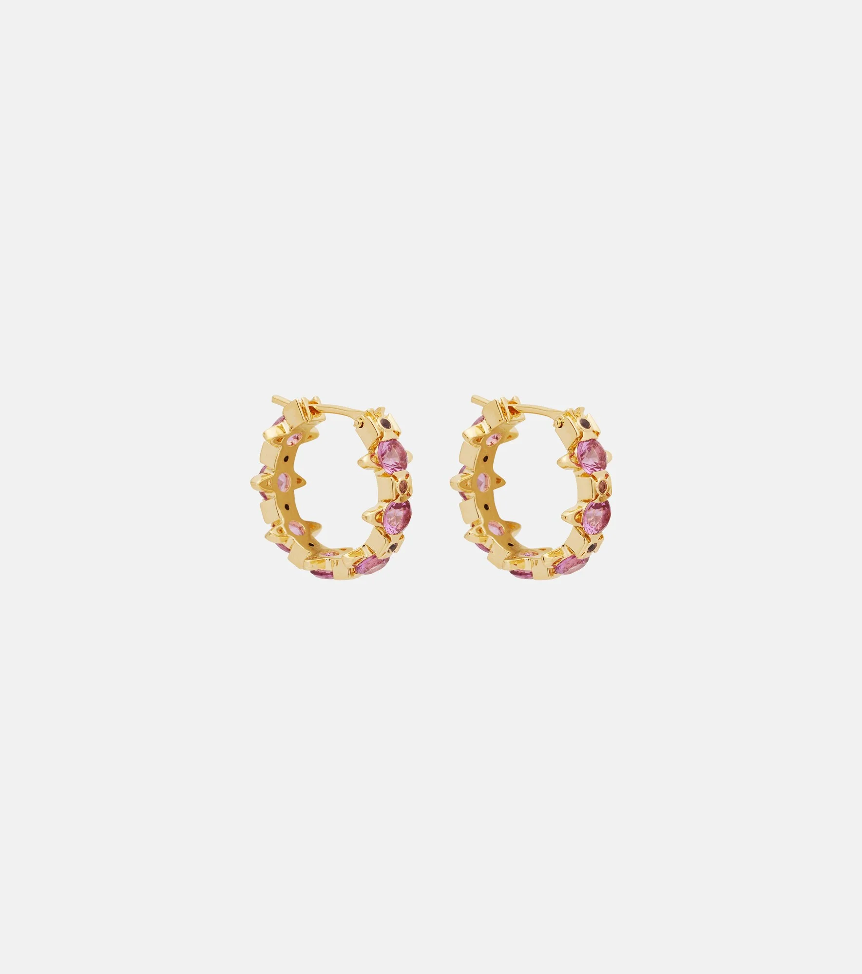 Warwick hoop earrings - 1