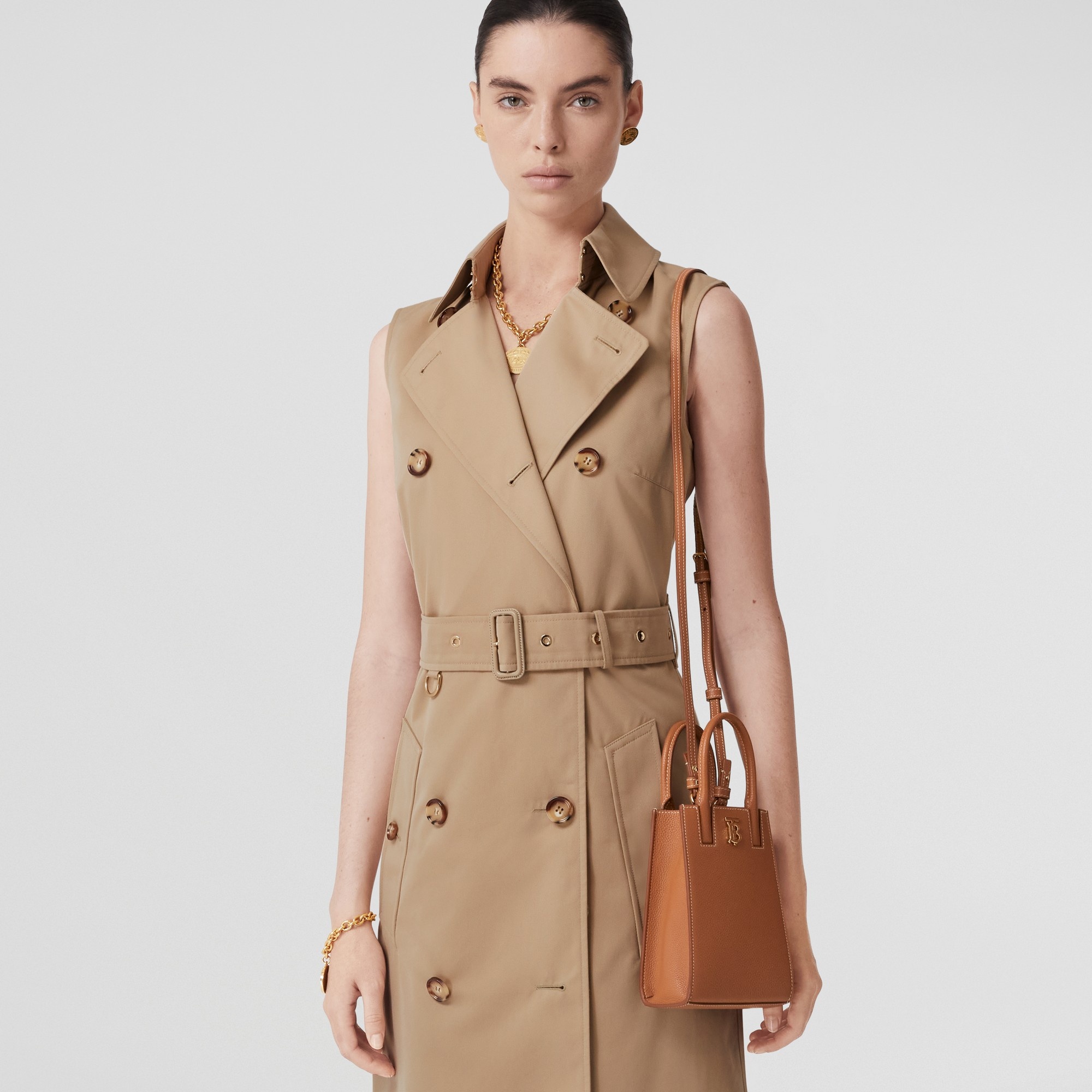 Grainy Leather Micro Frances Tote - 3