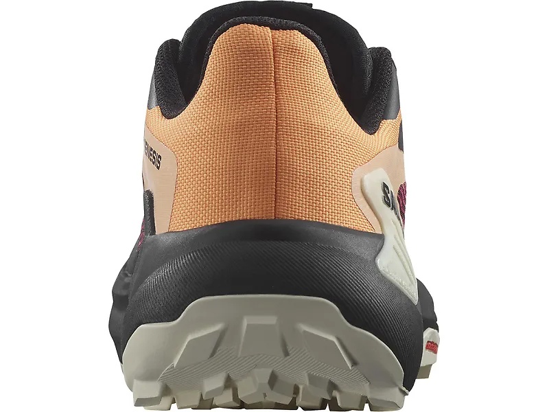 Salomon Genesis - 5
