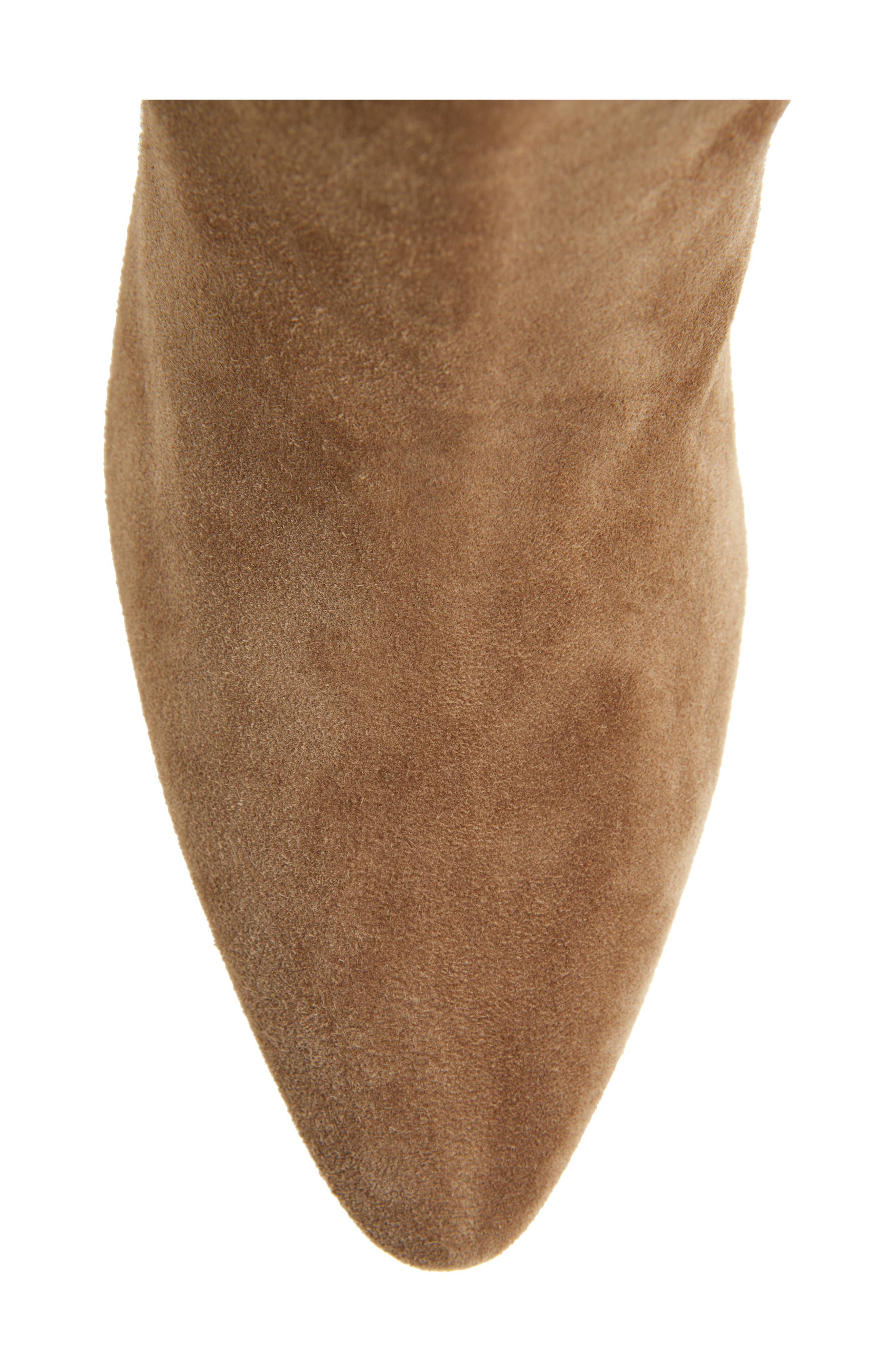 Gianvito Rossi Pointed Toe Boot in Camel at Nordstrom - 5