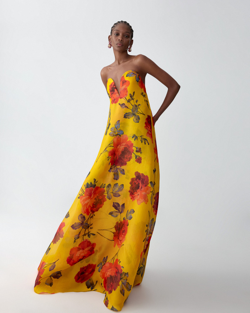 Rose-Print Organza V-Neck Gown 4