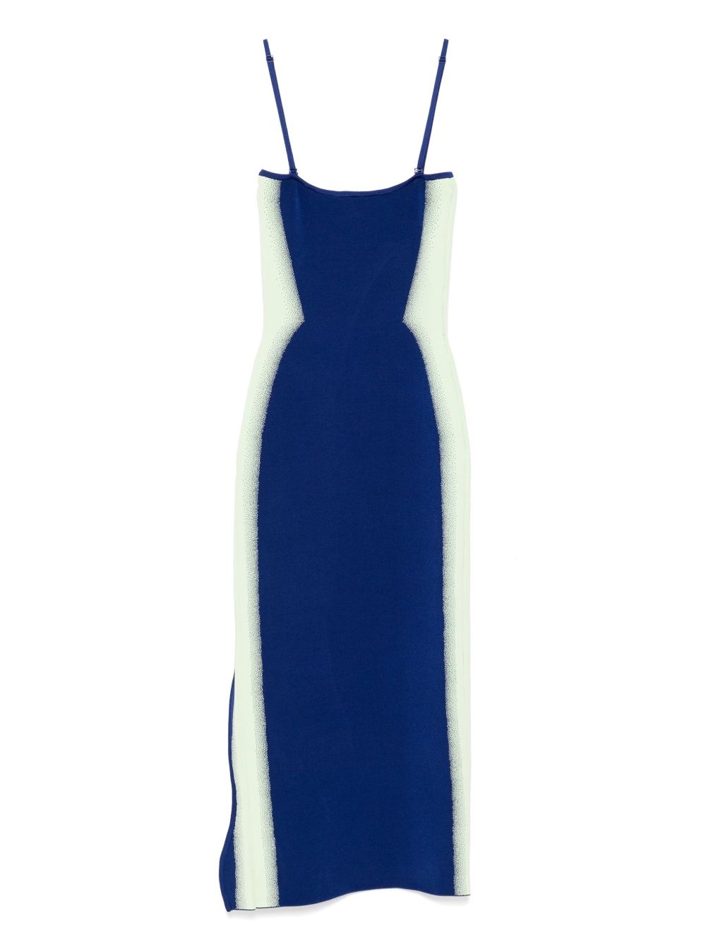 Iris flower print tank dress - 2