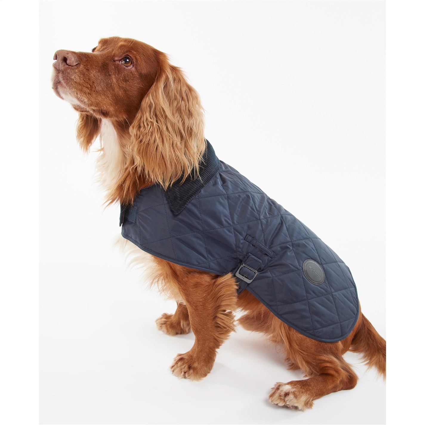 QUILTED DOG COAT - 3