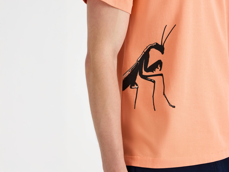 MENS PRAYING MANTIS T-SHIRT IN PEACH 4