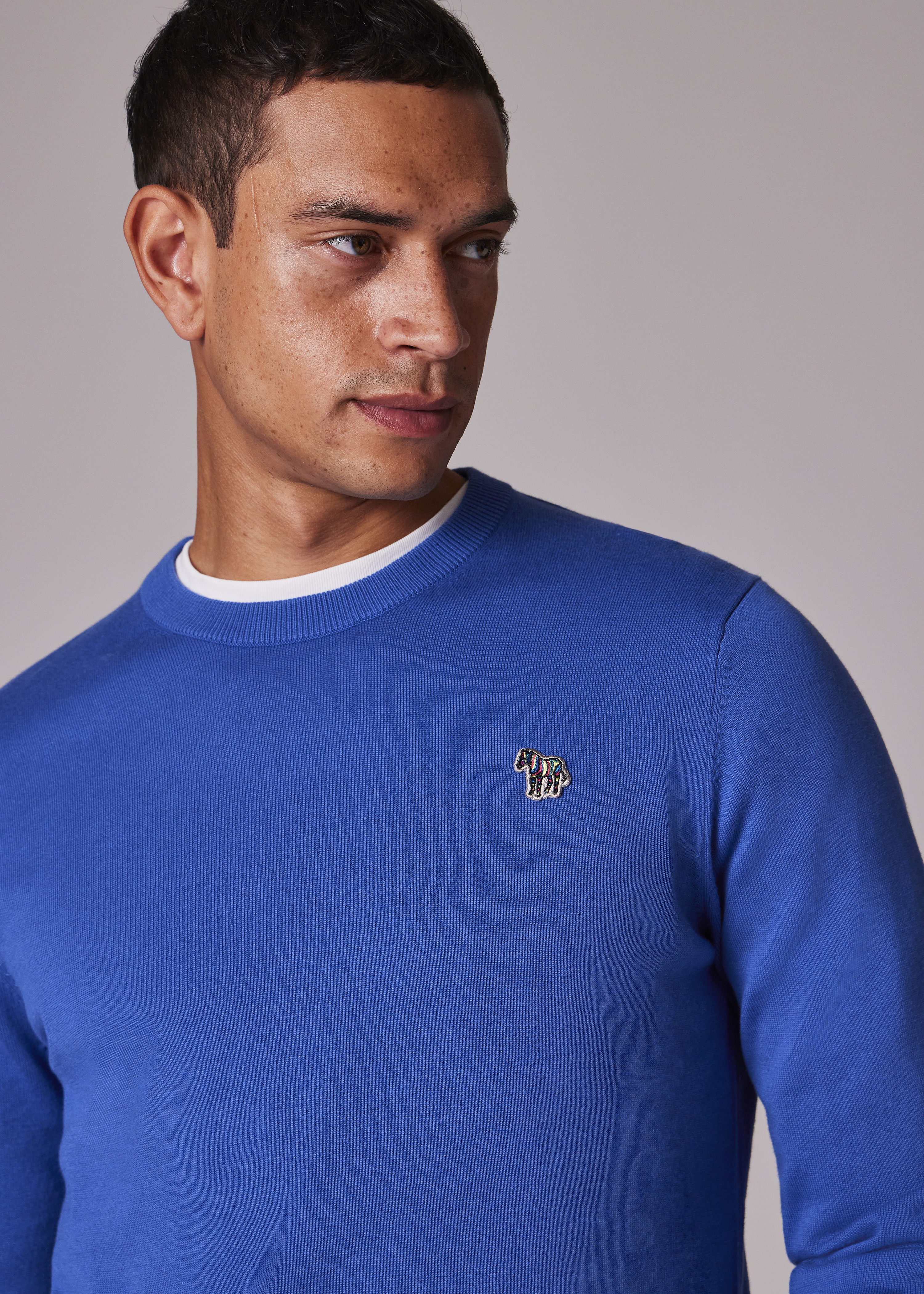 Bright Blue Organic Cotton Zebra Logo Sweater - 5