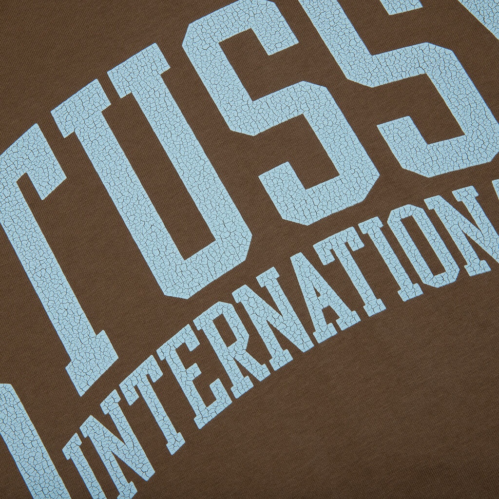 Stüssy STUSSY INTERNATIONAL PIGMENT DYED TEE - BROWN