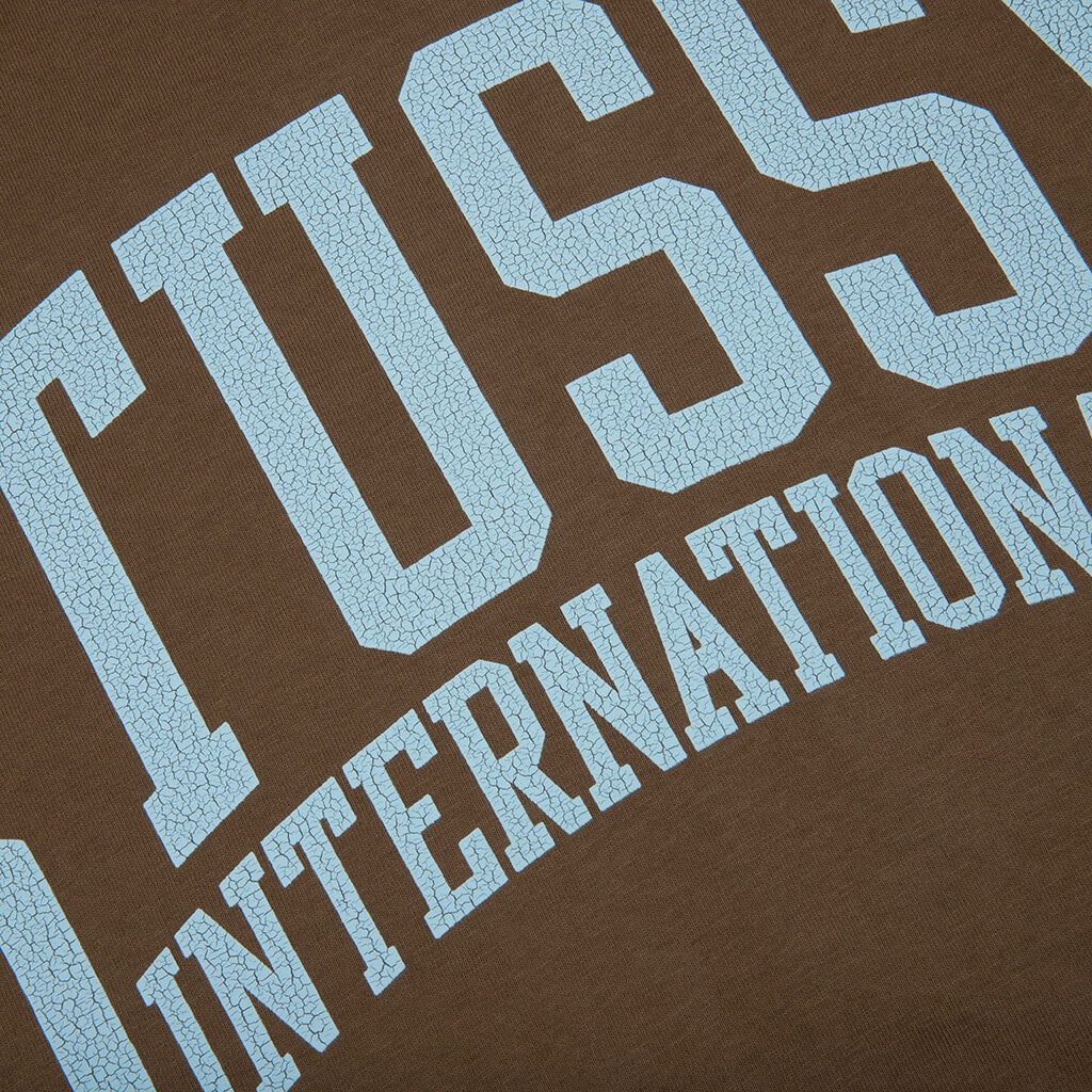 STUSSY INTERNATIONAL PIGMENT DYED TEE - BROWN - 3