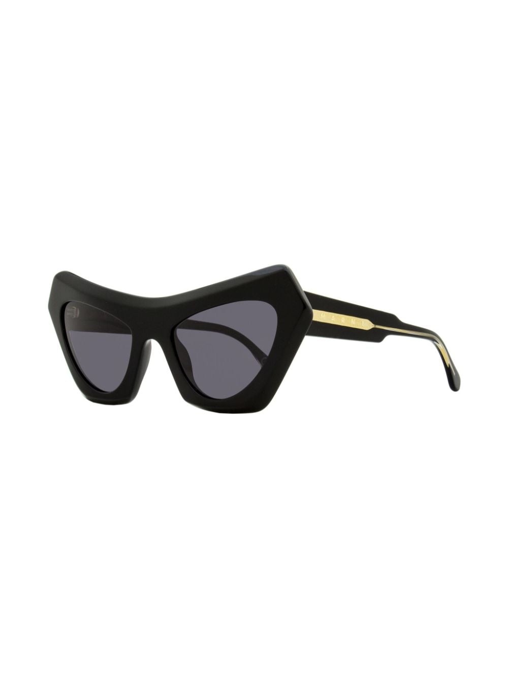 Devil's Pool cat-eye sunglasses - 2