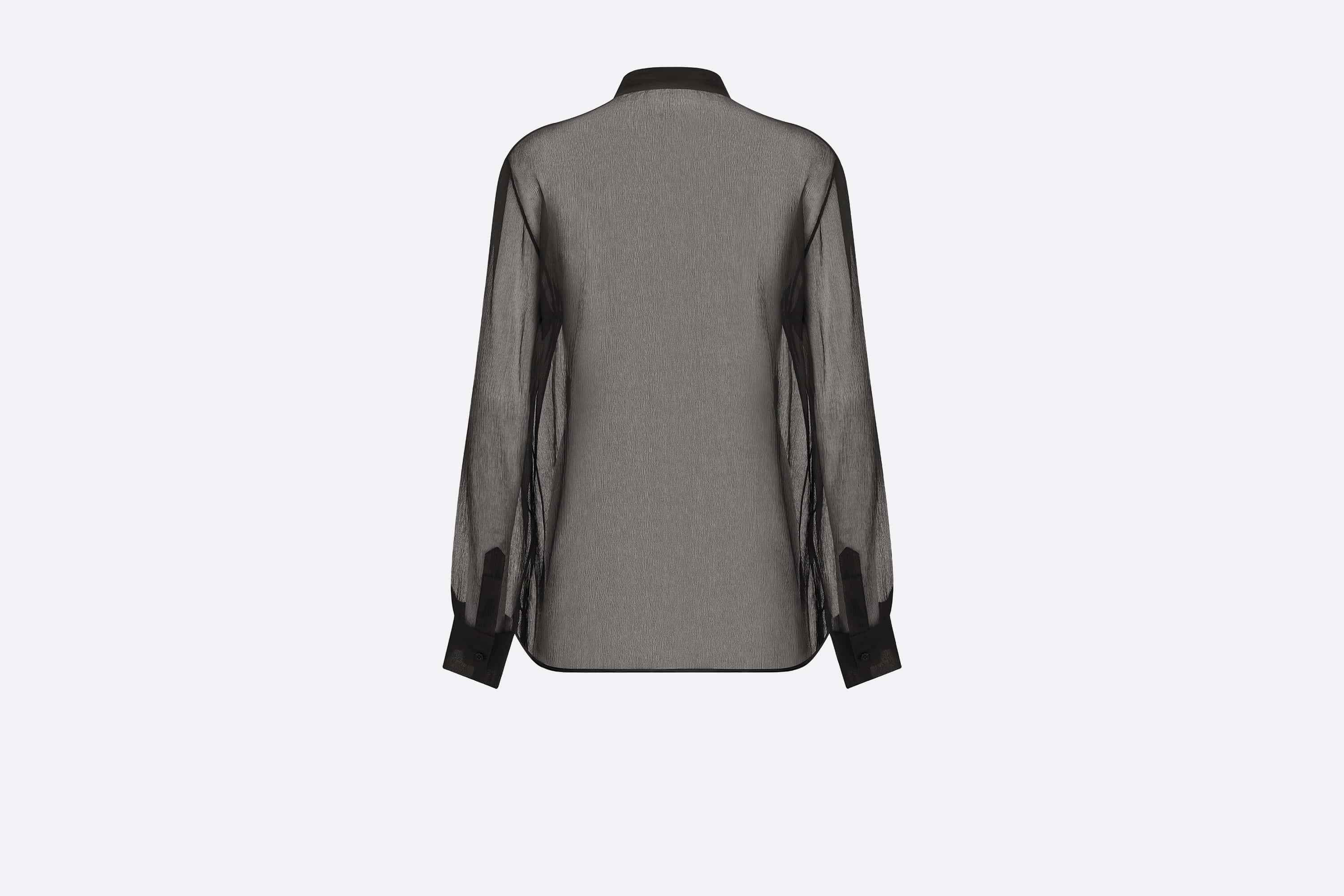 Sheer Blouse with Plastron - 2
