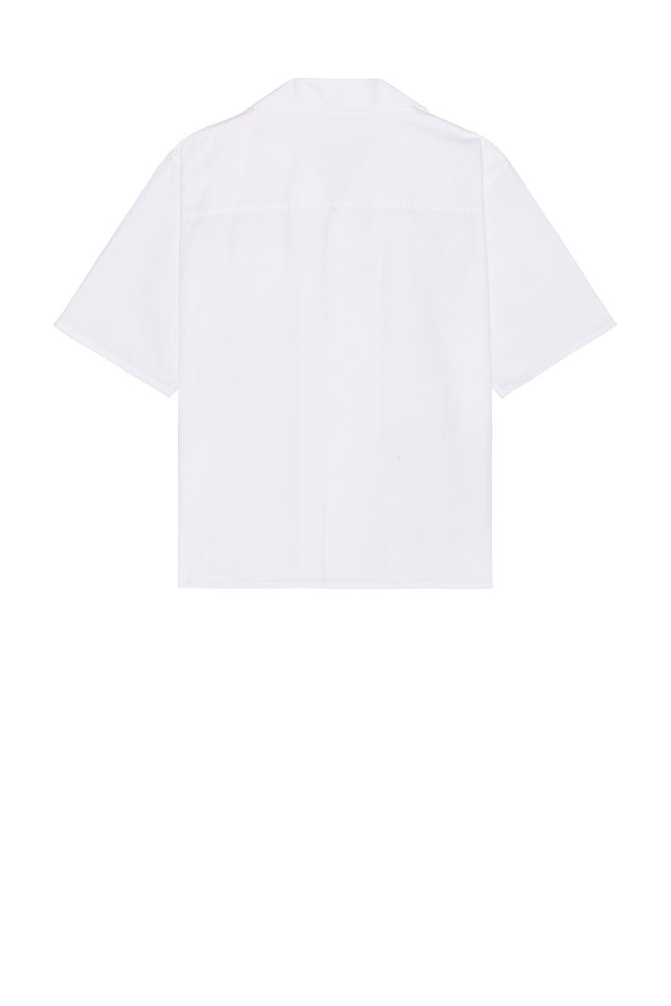 Shirt - 2