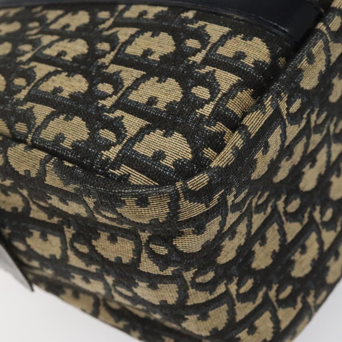 DIOR Trotter Canvas Hand Bag Navy - 13