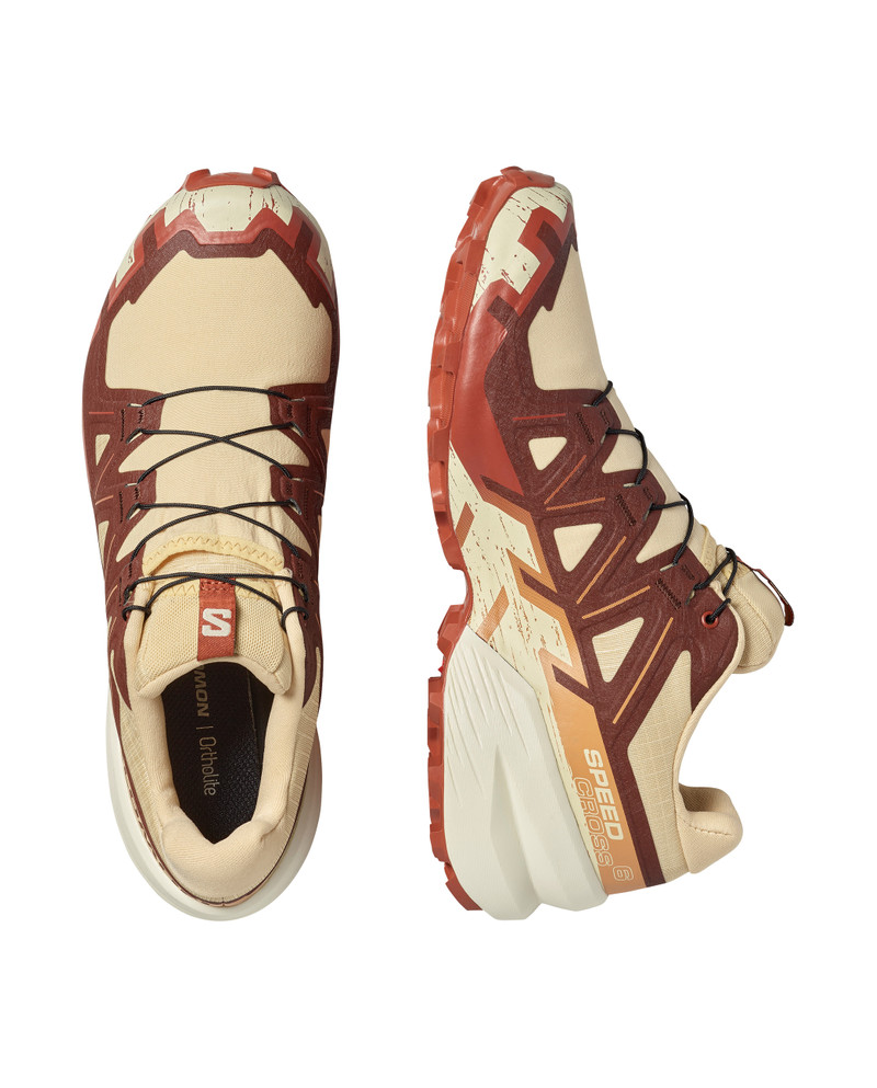 SALOMON SPEEDCROSS 6 outlook