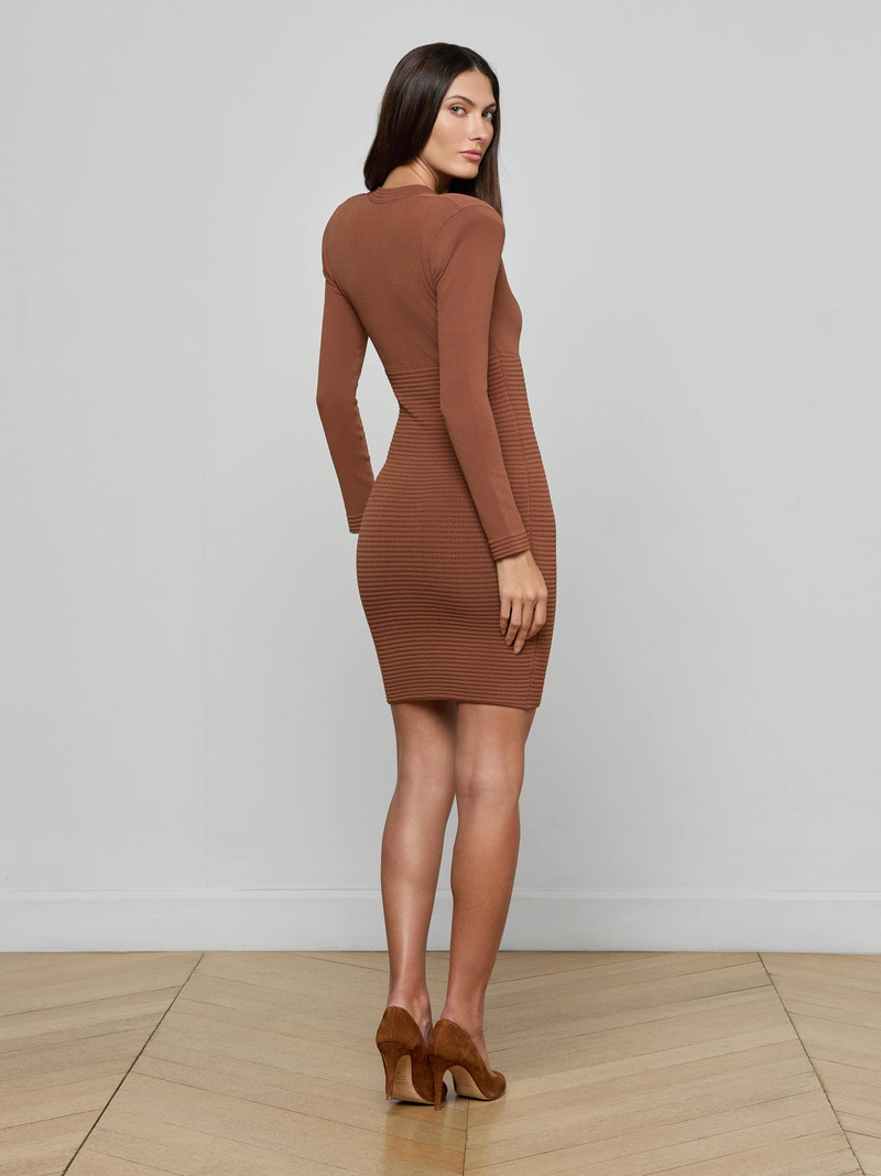 Taru Button-Front Mini Dress 4