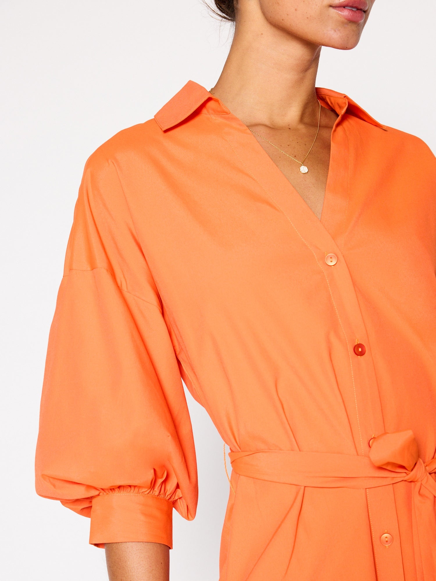 The Kate Belted Dress - 3