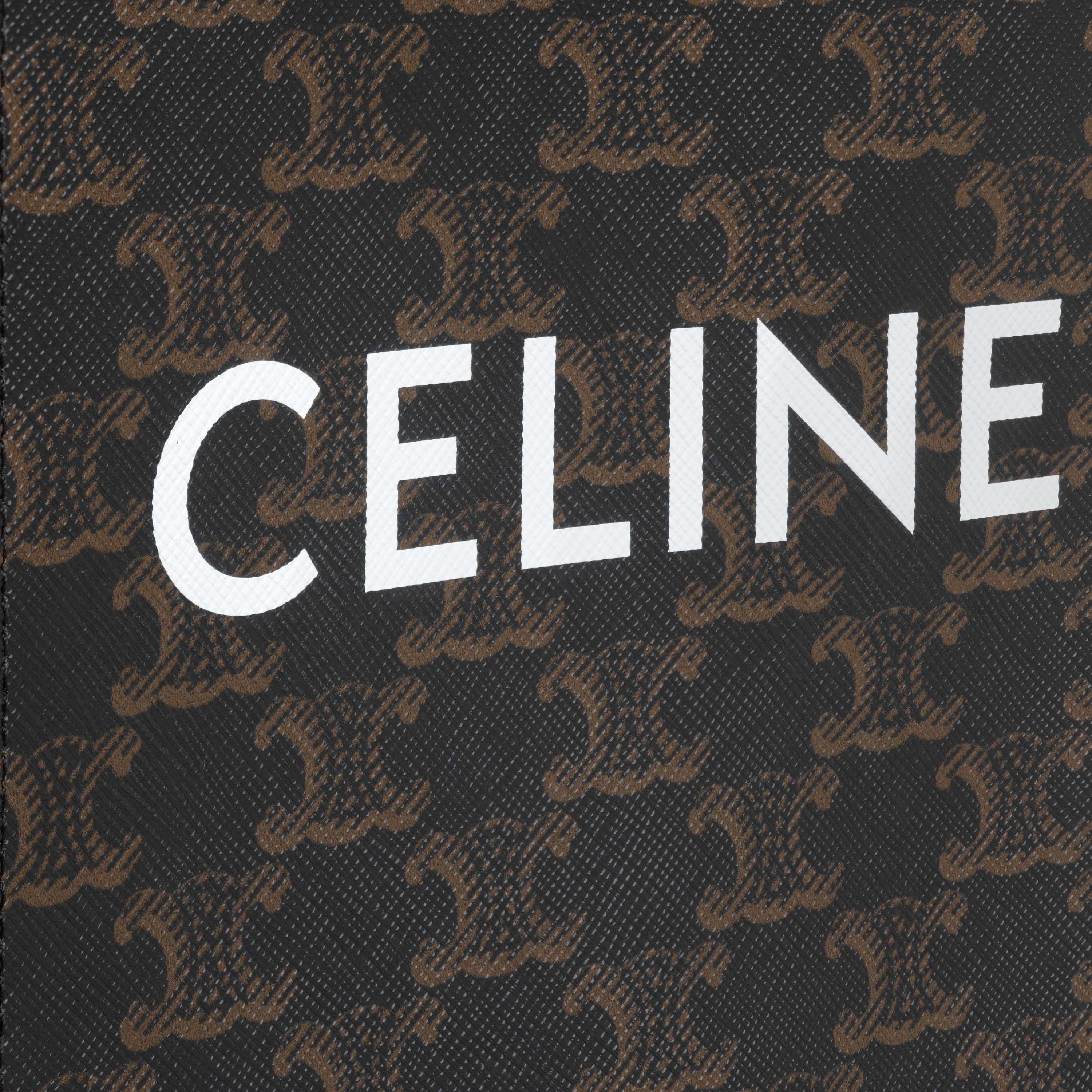 Mini Vertical Cabas in Triomphe Canvas and calfskin with Celine print - 4