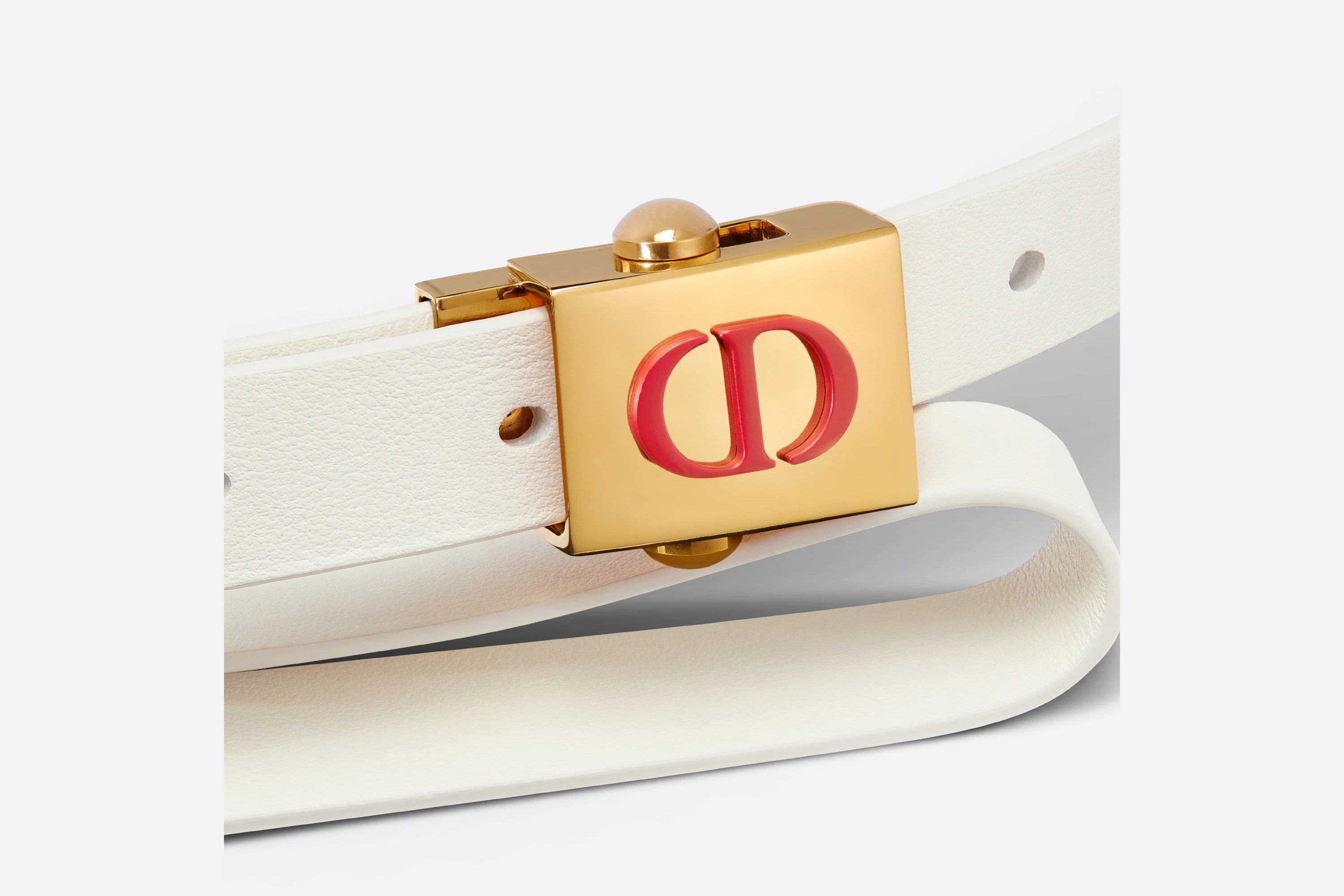Diorpolytechnique Belt - 2