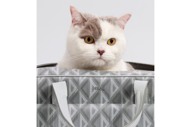 Dior Hit The Road Pet Carrier Bag 3