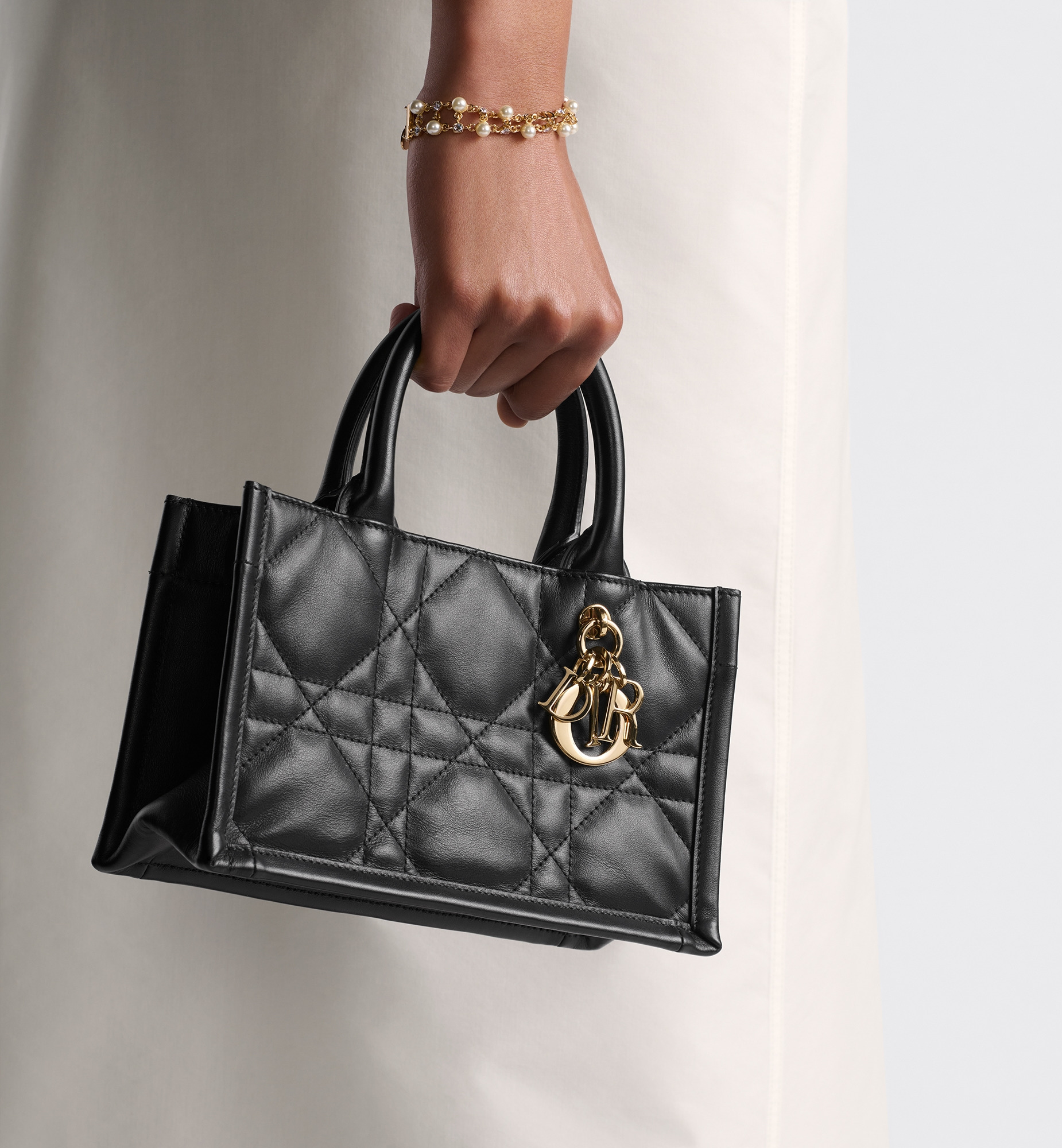 Mini Dior Book Tote - 9