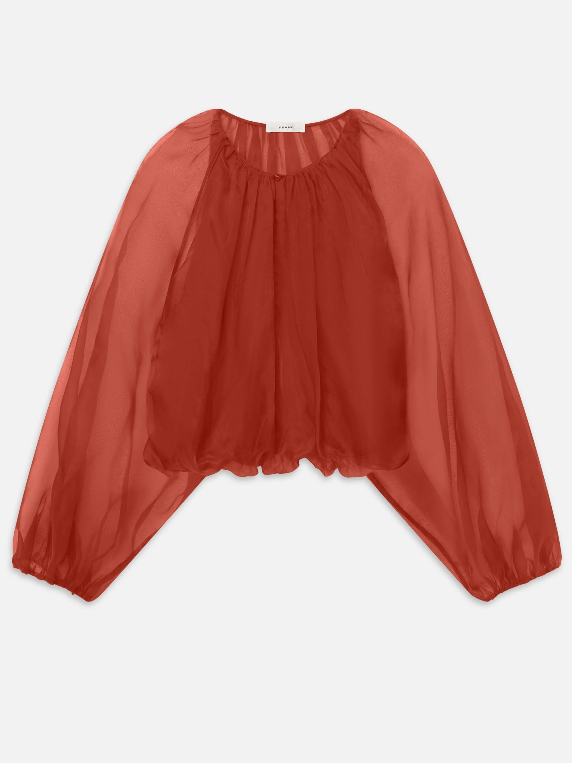 The Sheer Balloon Blouse - 1