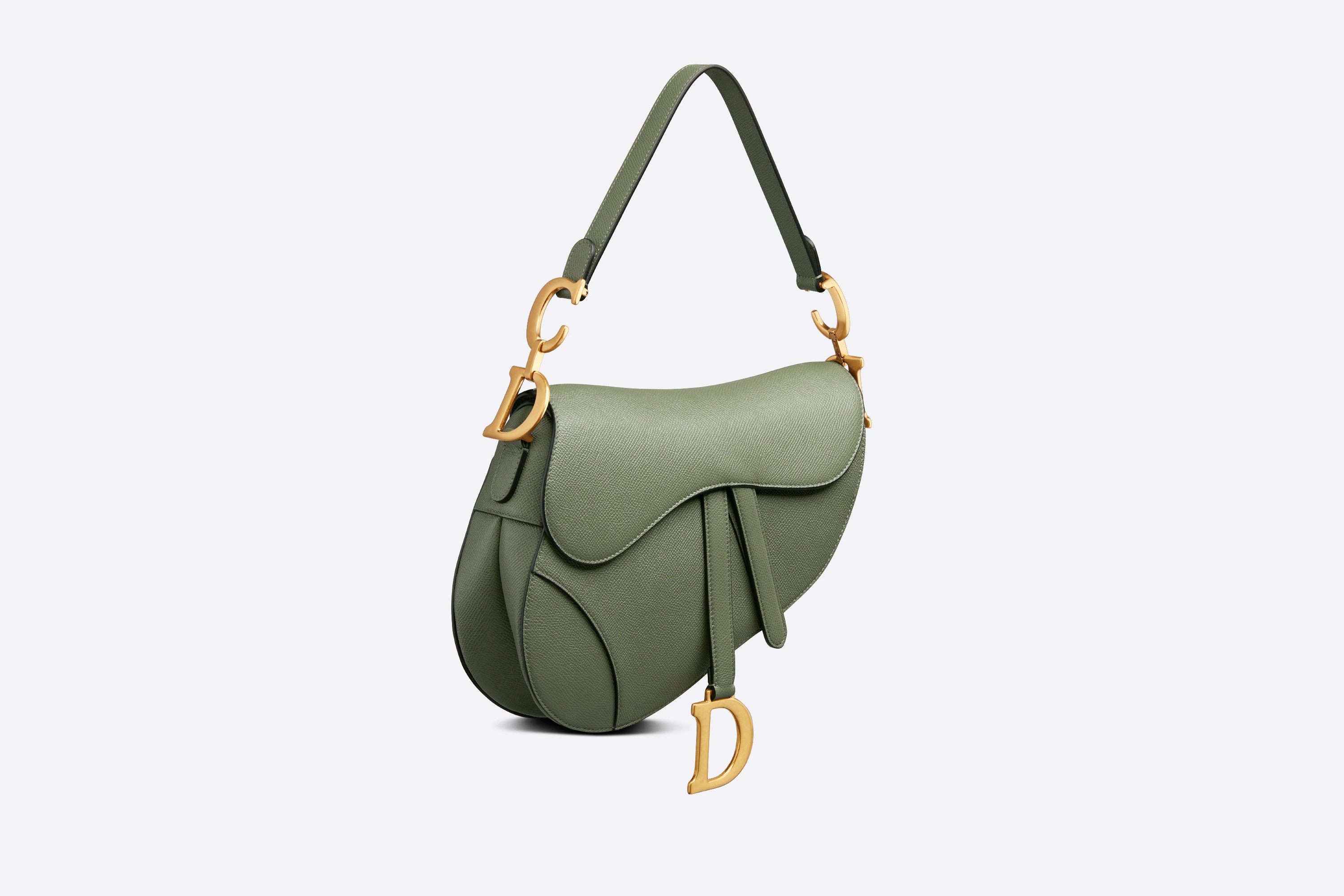 Saddle Bag 2