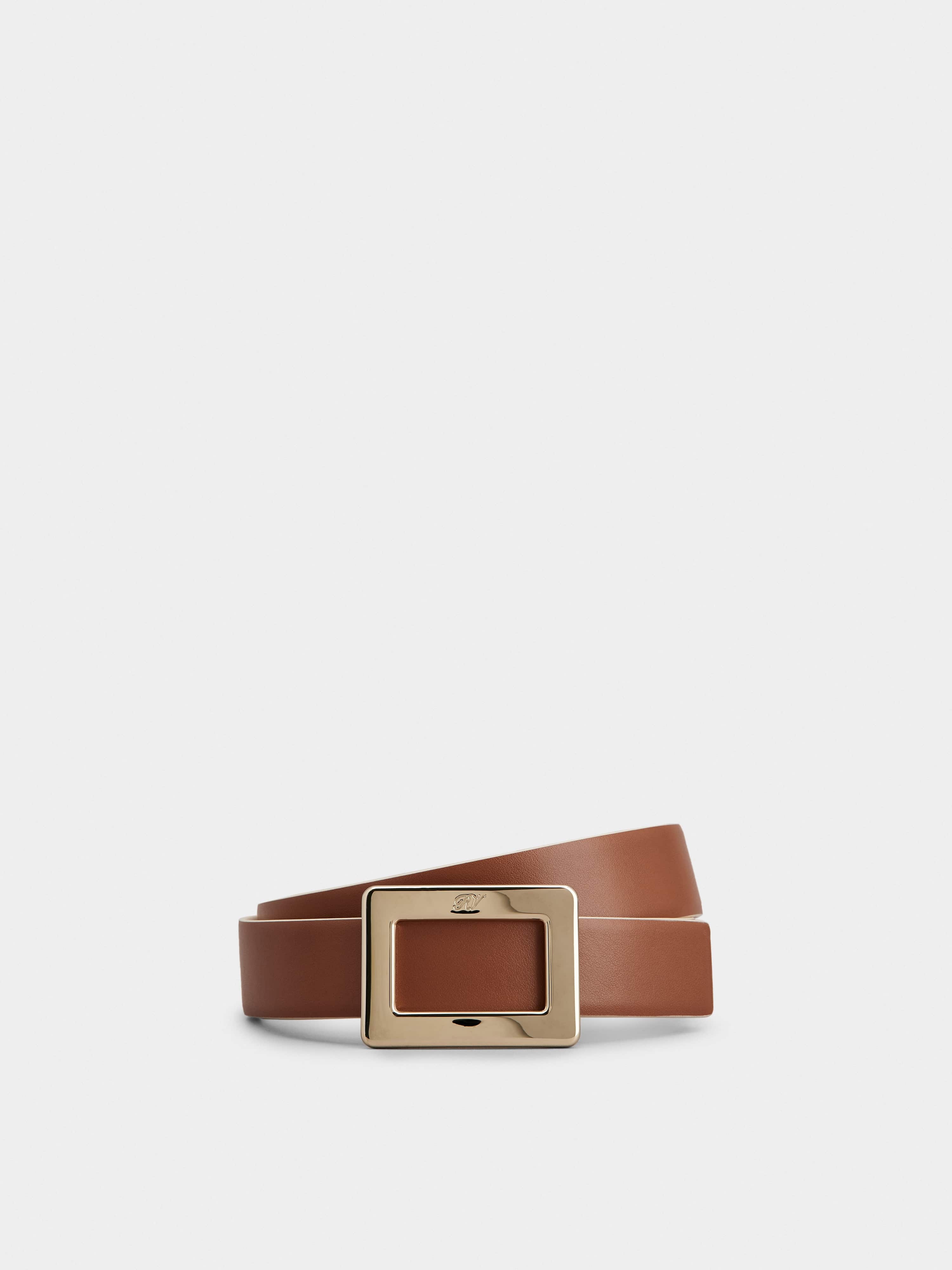 Belle Vivier Double Face Belt in Leather - 2