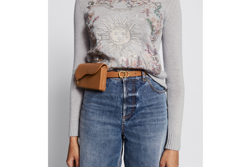 Dior Saddle Removable Pouch Belt outlook