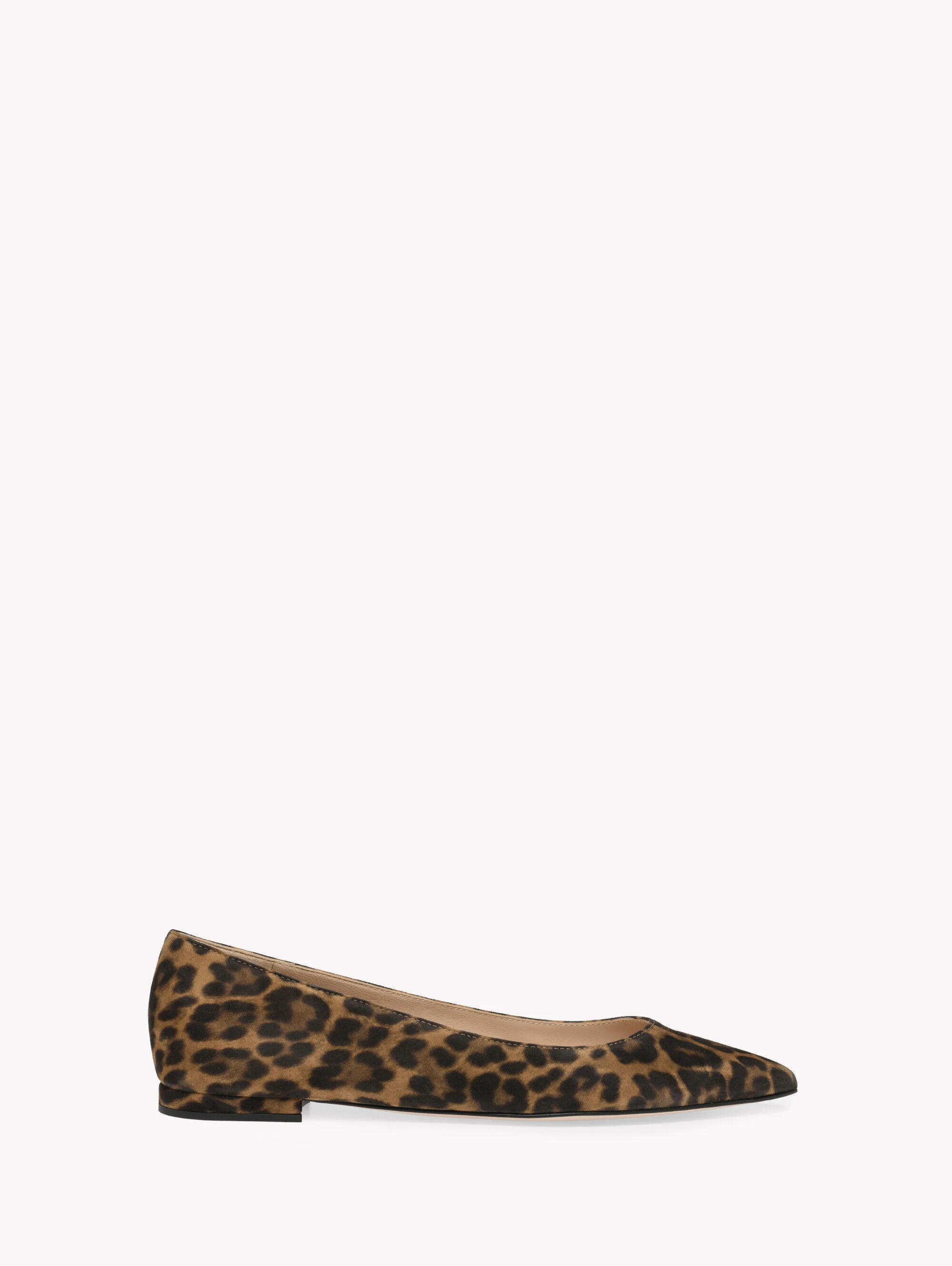 GIANVITO FLAT - 1